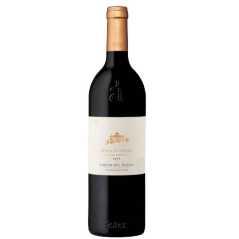 Aster Finca El Otero 2019