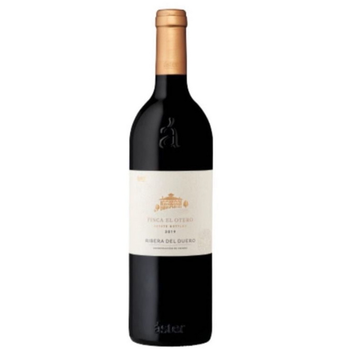 Aster Finca El Otero 2019