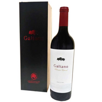 Bodegas Aragonesas Coto De Hayas Galiano Seleccion Especial 2013
