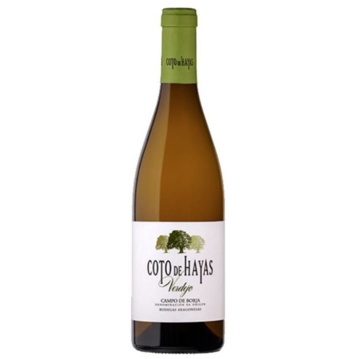 Bodegas Aragonesas Coto De Hayas Verdejo White 2023