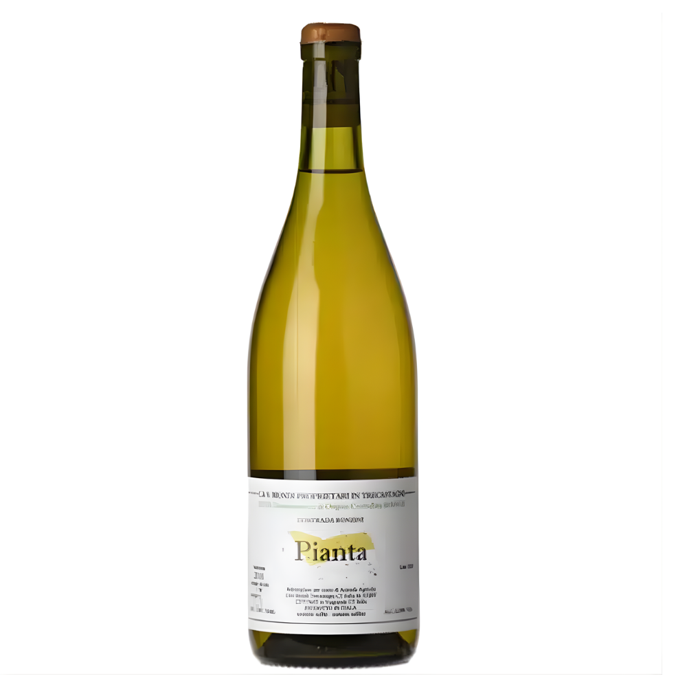 Biondi Pianta Etna Bianco 2021