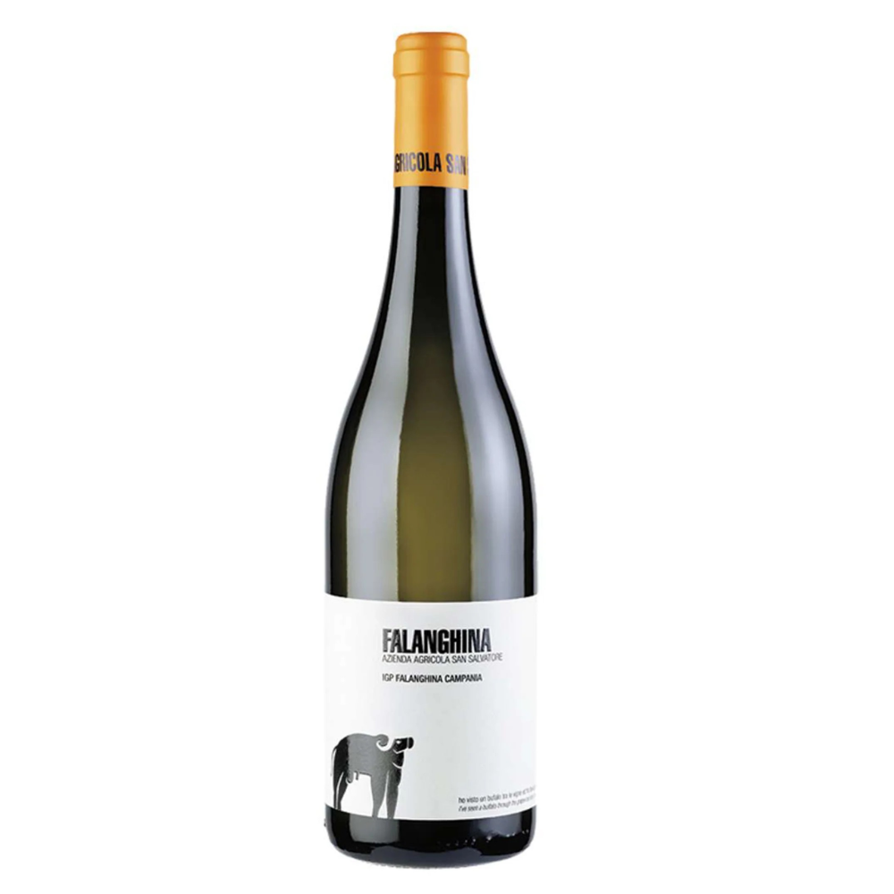 San Salvatore Falanghina 2024